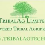 www.tribalag.in